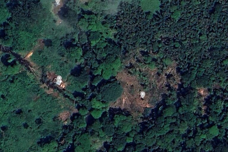 hutan